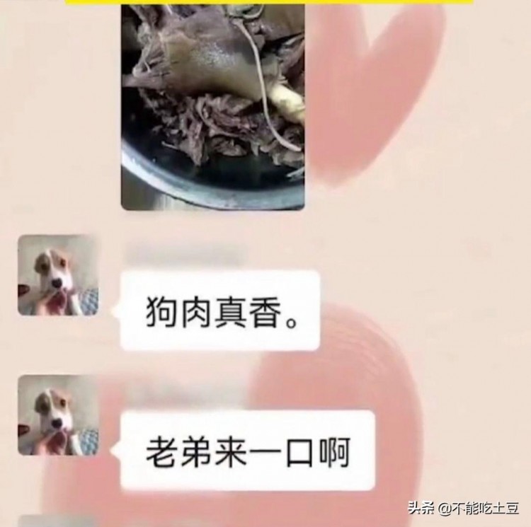 长春：男子居家隔离吃掉宠物狗，聊天记录曝光惹众怒