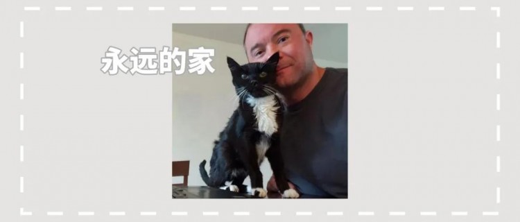 18岁的高龄猫被主人弃养，一位中年大叔决定给猫咪一个永远的家