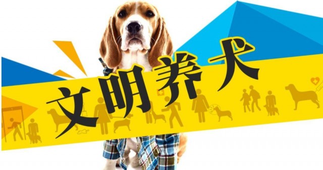 从今天起广州新办理养犬登记证有服务赠送啦