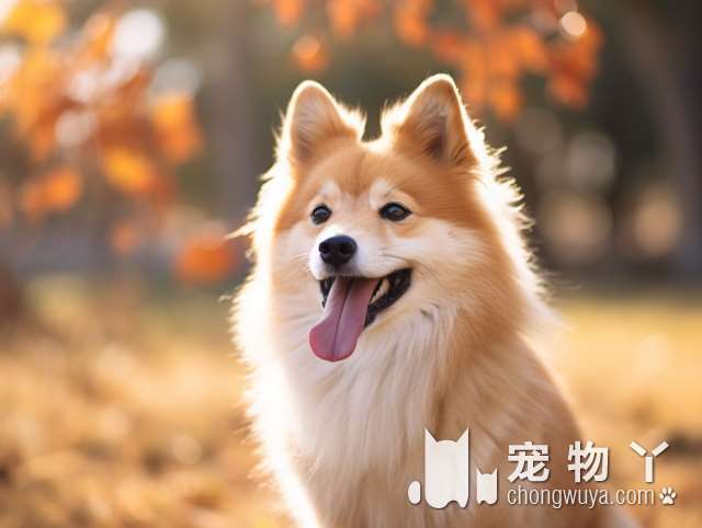 罗威纳犬最后怎么样了？