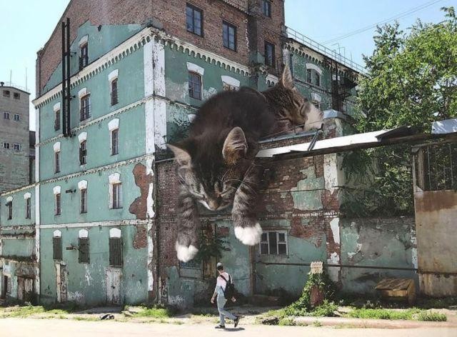 国外艺术家创作的超大猫咪图片，有没有震撼到你呢