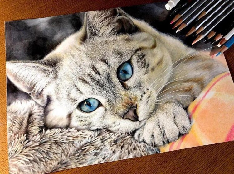23张绝美的猫咪图片，你敢相信这是用铅笔画出来的吗？